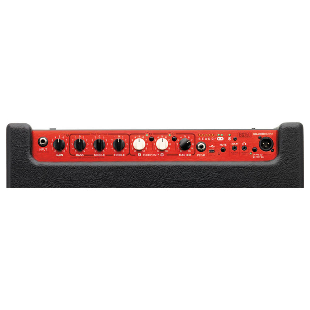 TC Electronic BG250-210 - 2x10" 250-Watt Bass Combo